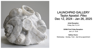 Solo exhibition at Boston Sculptors Gallery Launchpad